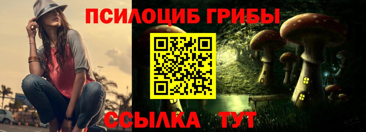 Нижний Новгород  наркота  Вход с VPN  Галлюциногенные грибы Magic Shrooms 